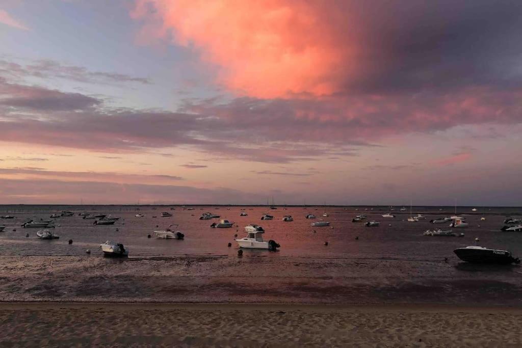 Willa Maison A Arcachon Avec Piscine Hors-Sol Zewnętrze zdjęcie